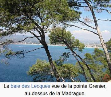 Saint Cyr-Sur-Mer La Madrague Les Aigues Marines エクステリア 写真
